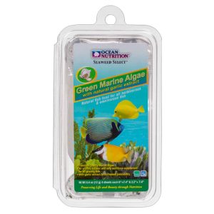 Green Marine Algae