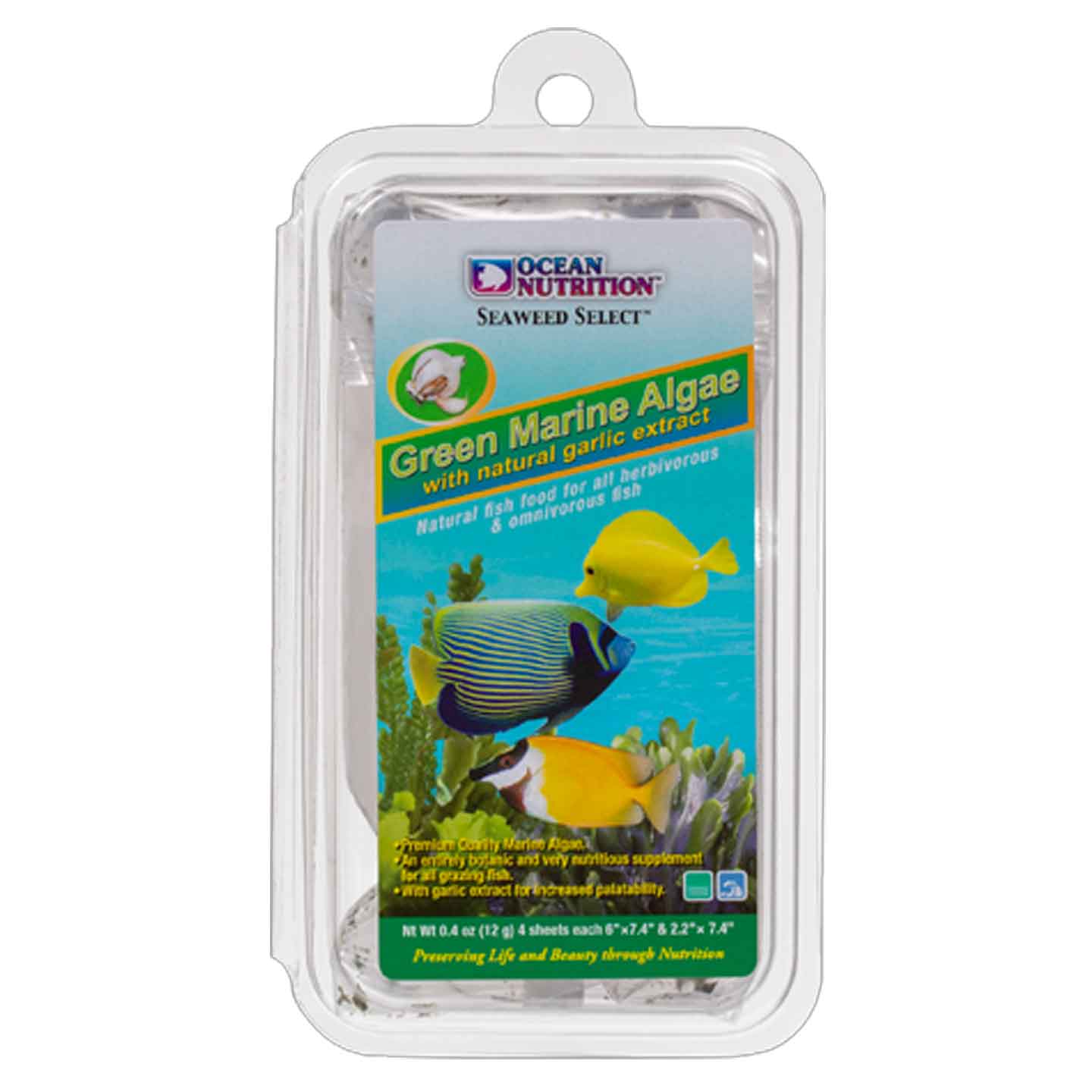 Green Marine Algae