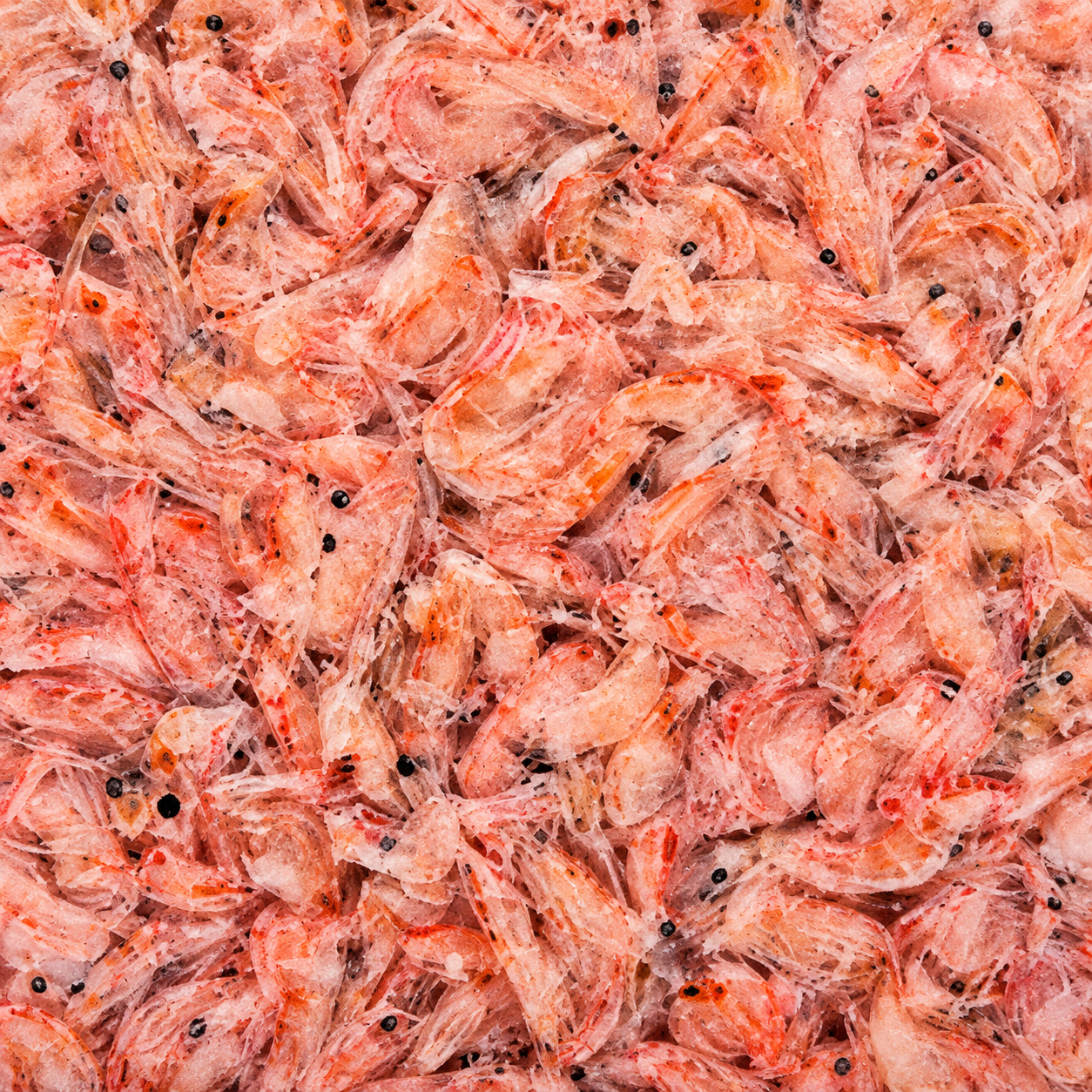 Ocean Nutrition IQF KRILL Flatpack - Image 3
