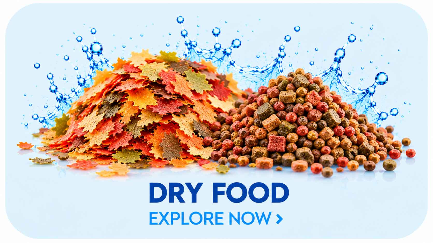 dry-food