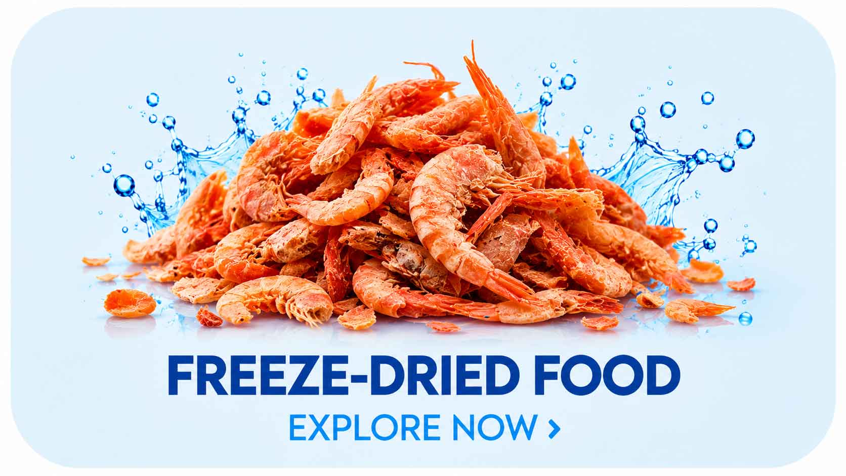 freeze-dried-food